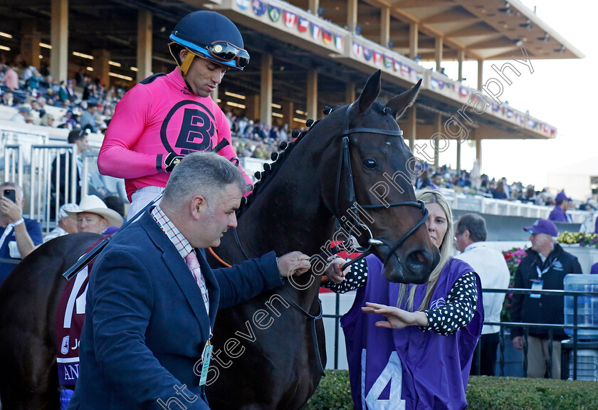 Anshoda-0001 
 ANSHODA (Joel Rosario)
Del Mar 1 Nov 2024 - Pic Steven Cargill / Racingfotos.com