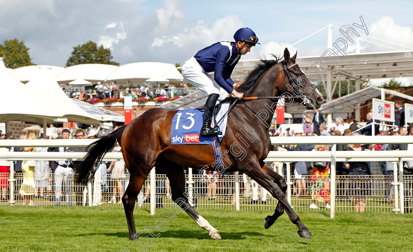 Alhambra-Palace-0001 
 ALHAMBRA PALACE (Adam Farragher)
York 26 Aug 2023 - Pic Steven Cargill / Racingfotos.com