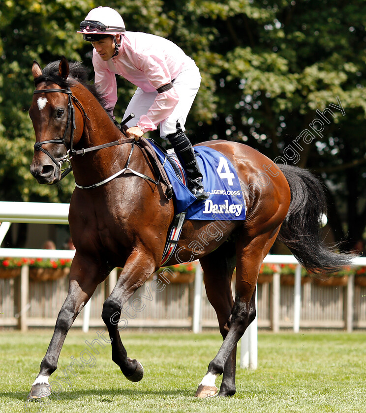 Intelligence-Cross-0002 
 INTELLIGENCE CROSS (Padraig Beggy)
Newmarket 14 Jul 2018 - Pic Steven Cargill / Racingfotos.com