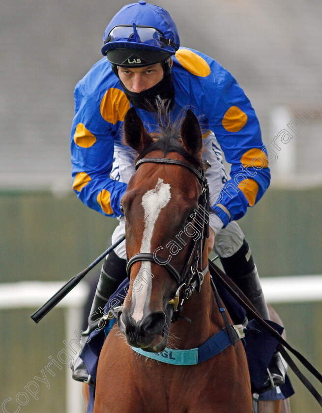 Miss-Bella-Brand-0001 
 MISS BELLA BRAND (Luke Morris)
Yarmouth 1 Jul 2021 - Pic Steven Cargill / Racingfotos.com