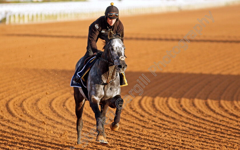 Happy-Power-0002 
 HAPPY POWER training for The Turf Sprint
King Abdulaziz Racetrack, Riyadh, Saudi Arabia 23 Feb 2022 - Pic Steven Cargill / Racingfotos.com