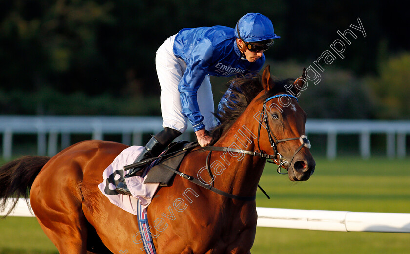 Pennymoor-0002 
 PENNYMOOR (James Doyle) winner of The Unibet 3 Uniboosts A Day Fillies Novice Stakes
Kempton 4 Aug 2021 - Pic Steven Cargill / Racingfotos.com