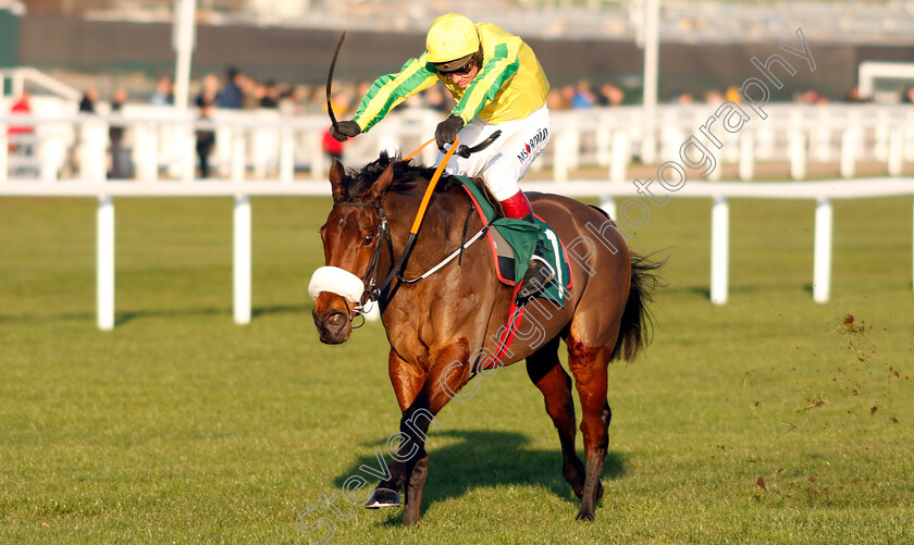 Synopsis-0001 
 SYNOPSIS (Richard Johnson) wins The CF Roberts Electrical & Mechanical Services Mares Handicap Chase
Cheltenham 14 Dec 2018 - Pic Steven Cargill / Racingfotos.com