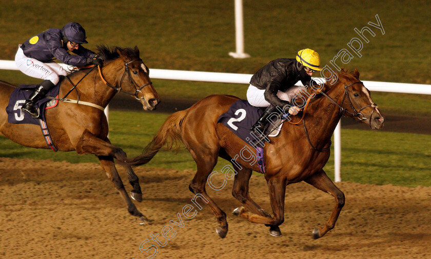 Amniarix-0003 
 AMNIARIX (Richard Kingscote) wins The Get Your Ladbrokes Daily Odds Boost Fillies Stakes
Wolverhampton 4 Jan 2021 - Pic Steven Cargill / Racingfotos.com