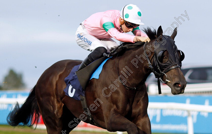 Serendipitous-Lady-0002 
 SERENDIPITOUS LADY (Harry Davies) wins The Download The Brestbet App Nursery
Yarmouth 16 Oct 2023 - Pic Steven Cargill / Racingfotos.com