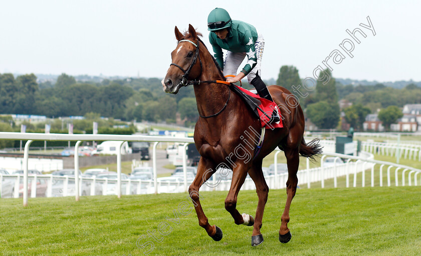 Extra-Elusive-0001 
 EXTRA ELUSIVE (Ryan Moore)
Sandown 5 Jul 2019 - Pic Steven Cargill / Racingfotos.com