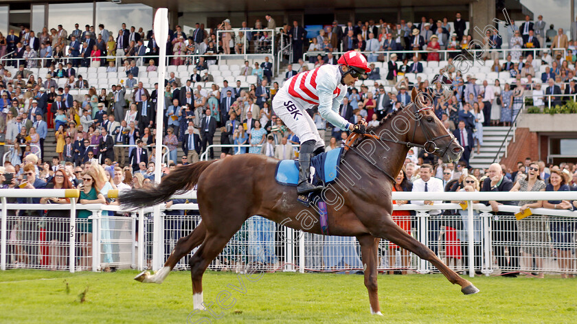 Borntobealeader-0001 
 BORNTOBEALEADER (Sean Levey) wins The William Hill Selling Stakes
Goodwood 28 Aug 2022 - Pic Steven Cargill / Racingfotos.com