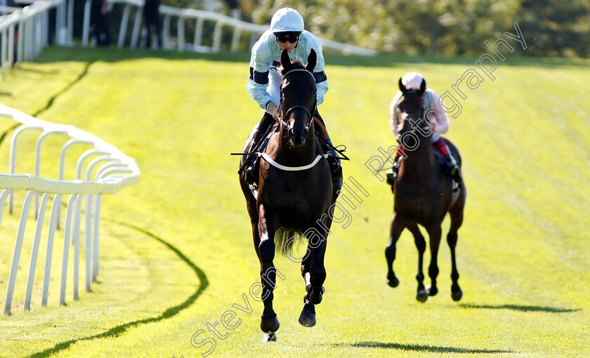 Dunkerron-0001 
 DUNKERRON (Martin Harley)
Sandown 1 Sep 2018 - PIc Steven Cargill / Racingfotos.com