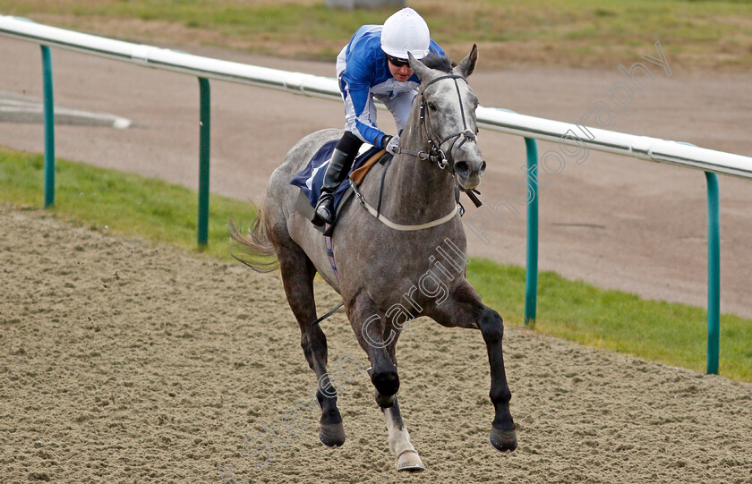 Toronado-Grey-0005 
 TORONADO GREY (Tom Queally) wins The Get Your Ladbrokes Daily Odds Boost Novice Median Auction Stakes
Lingfield 9 Jan 2021 - Pic Steven Cargill / Racingfotos.com