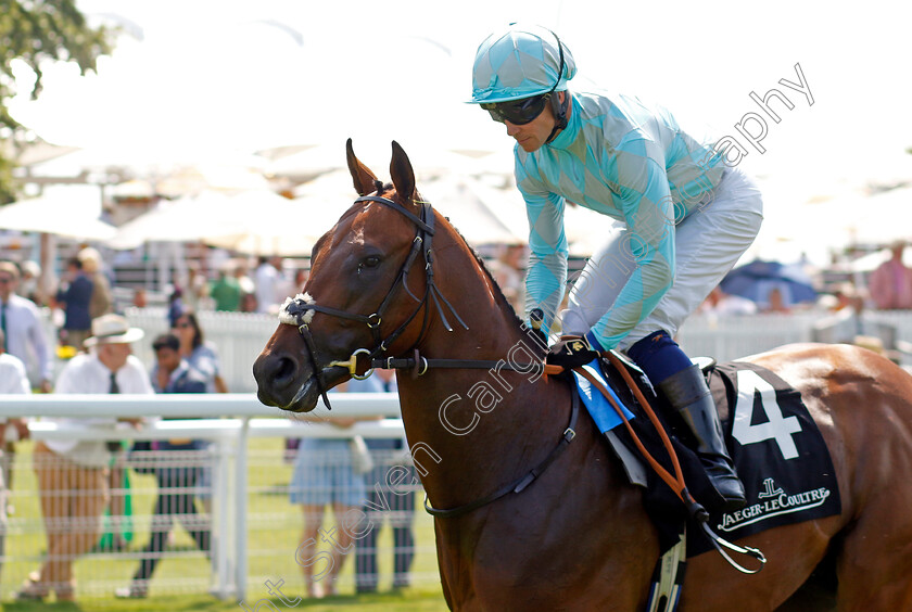 Binadham-0001 
 BINADHAM (Jim Crowley)
Goodwood 31 Jul 2024 - Pic Steven Cargill / Racingfotos.com