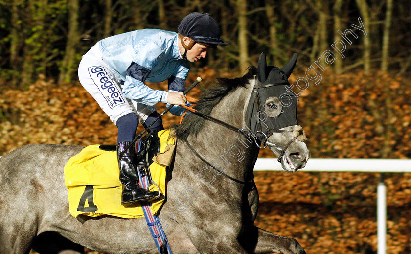 Harrow-0003 
 HARROW (David Probert)
Kempton 2 Mar 2022 - Pic Steven Cargill / Racingfotos.com