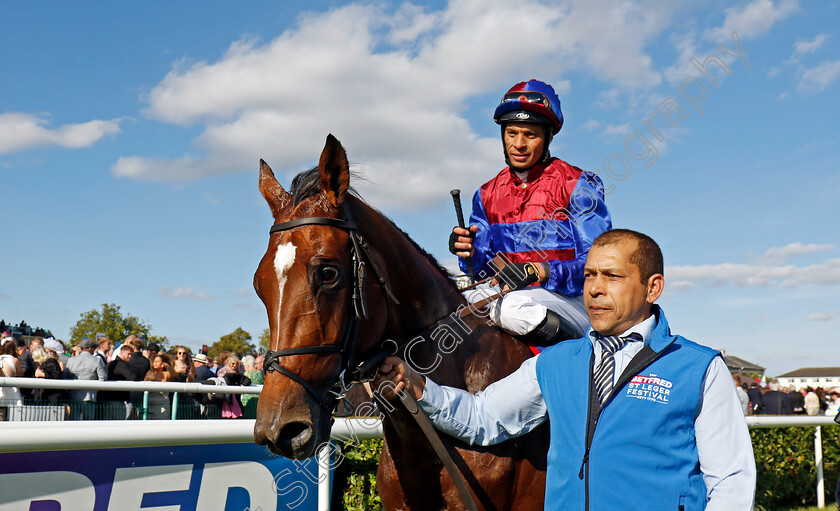 Jan-Brueghel-0008 
 JAN BRUEGHEL (Sean Levey) winner of The Betfred St Leger 
Doncaster 14 Sep 2024 - Pic Steven Cargill / Racingfotos.com