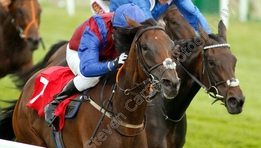 Confils-0004 
 CONFILS (Cieren Fallon) wins The Twickenham Fillies Handicap
Sandown 25 Jul 2019 - Pic Steven Cargill / Racingfotos.com