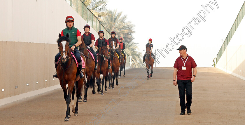 Threeandfourpence-0003 
 THREEANDFOURPENCE leads SEAHENGE, MENDELSSOHN, LANCASTER BOMBER and WASHINGTON DC exercising at Meydan 29 Mar 2018 - Pic Steven Cargill / Racingfotos.com