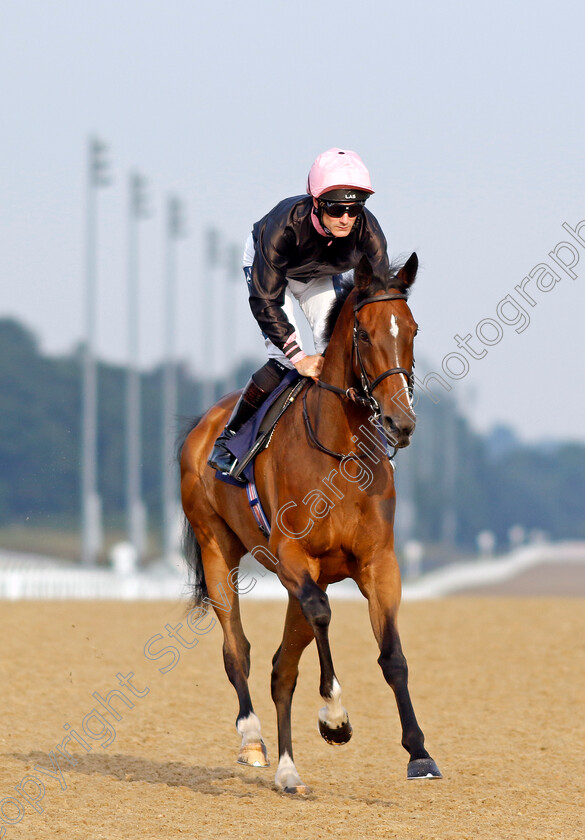 Lower-Street-0001 
 LOWER STREET (Paul Mulrennan)
Newcastle 24 Jun 2022 - Pic Steven Cargill / Racingfotos.com