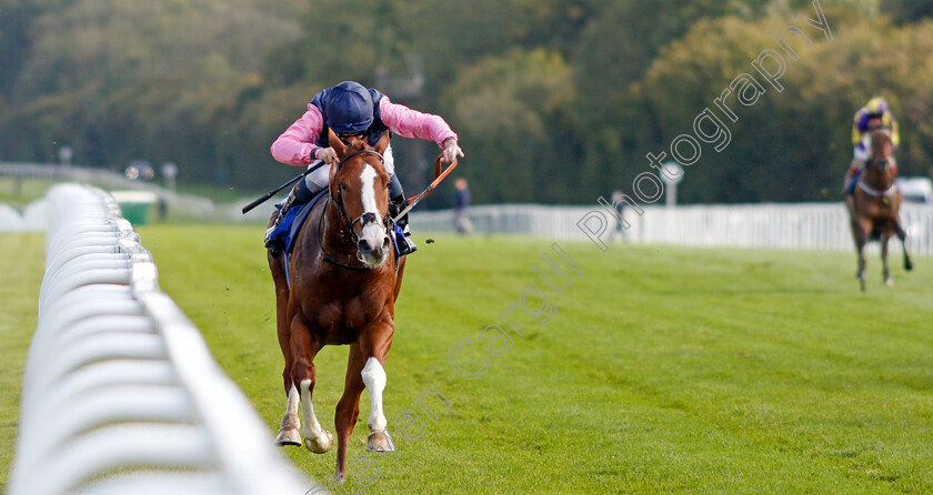 Autumn-Twilight-0002 
 AUTUMN TWILIGHT (Kieran Shoemark) wins The Byerley Stud British EBF Novice Stakes Div1
Salisbury 1 Oct 2020 - Pic Steven Cargill / Racingfotos.com