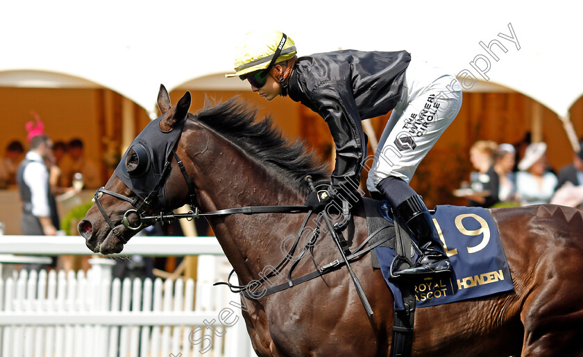 Assailant-0002 
 ASSAILANT (Saffie Osborne)
Royal Ascot 20 Jun 2024 - Pic Steven Cargill / Racingfotos.com