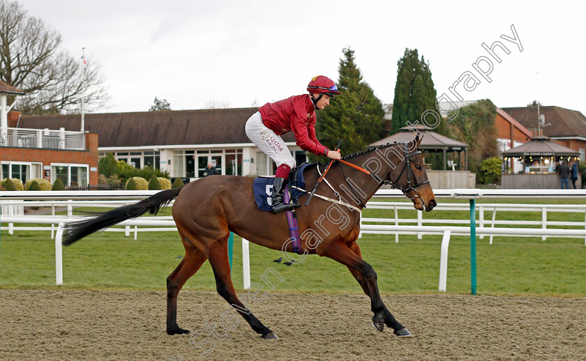 Rose-Of-Kildare 
 ROSE OF KILDARE (Cieren Fallon)
Lingfield 5 Feb 2022 - Pic Steven Cargill / Racingfotos.com