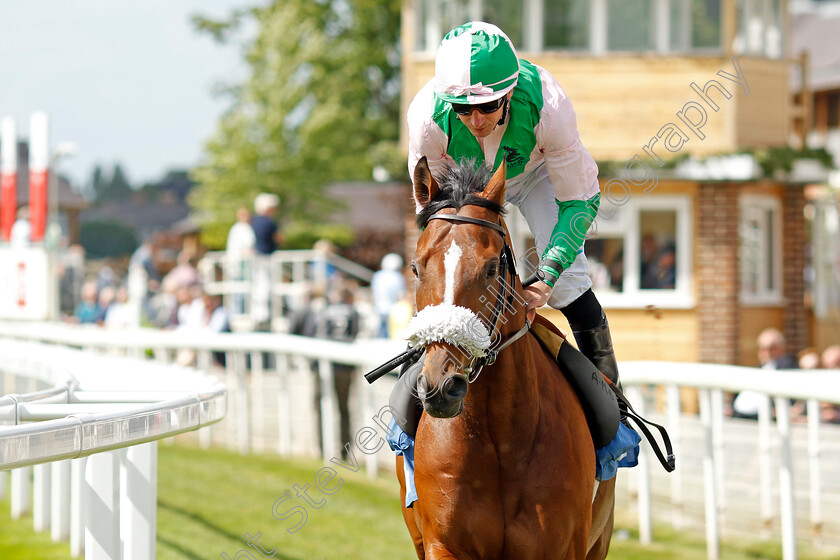 Bell-Rock 
 BELL ROCK (P J McDonald)
York 10 Jun 2022 - Pic Steven Cargill / Racingfotos.com