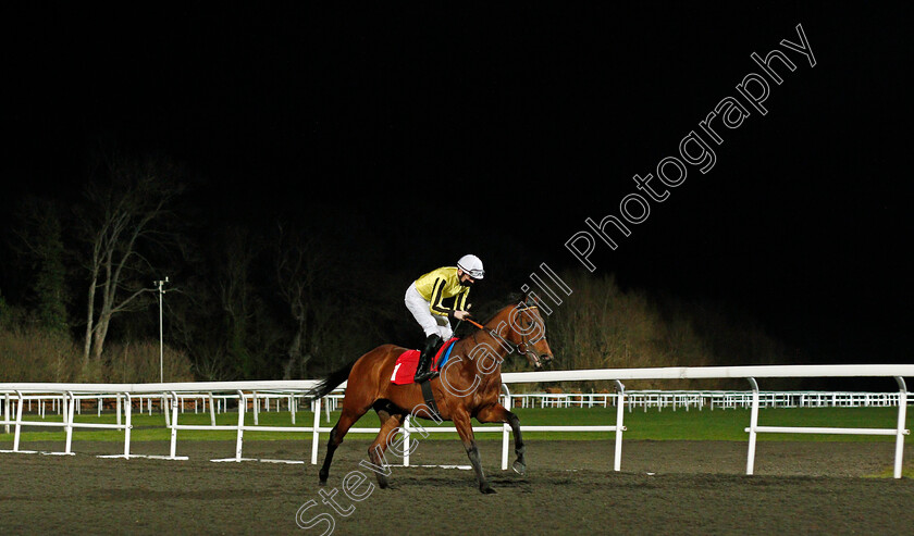 Lydford-0001 
 LYDFORD (Callum Shepherd)
Kempton 24 Feb 2021 - Pic Steven Cargill / Racingfotos.com