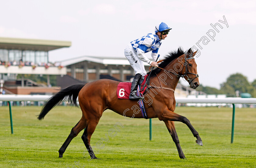 Teagarden-Jazz-0001 
 TEAGARDEN JAZZ (Daniel Tudhope)
Haydock 2 Sep 2022 - Pic Steven Cargill / Racingfotos.com