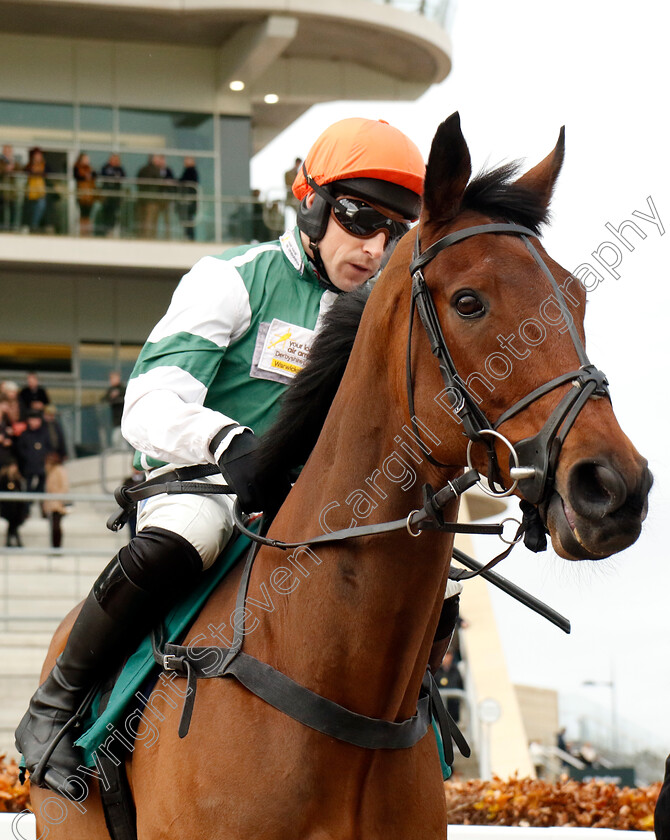 Calico-0001 
 CALICO (Harry Skelton)
Cheltenham 17 Nov 2024 - Pic Steven Cargill / Racingfotos.com