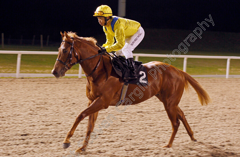 Cape-Abel-0001 
 CAPE ABEL (Howard Cheng)
Chelmsford 2 Jan 2020 - Pic Steven Cargill / Racingfotos.com