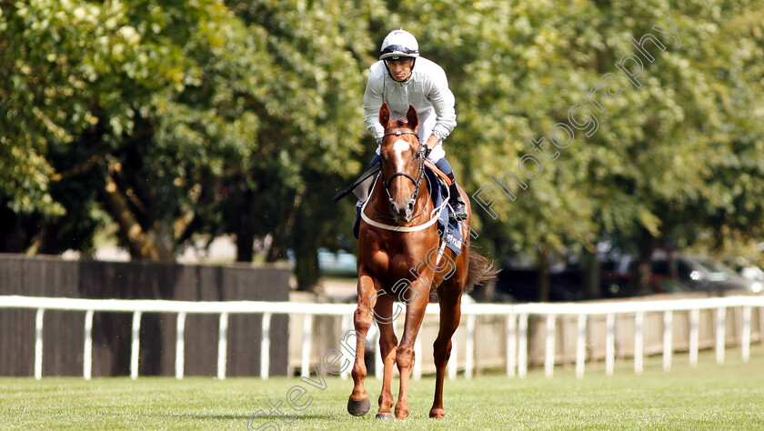 Communique-0001 
 COMMUNIQUE (Silvestre De Sousa) before The Princess Of Wales's Stakes
Newmarket 11 Jul 2019 - Pic Steven Cargill / Racingfotos.com