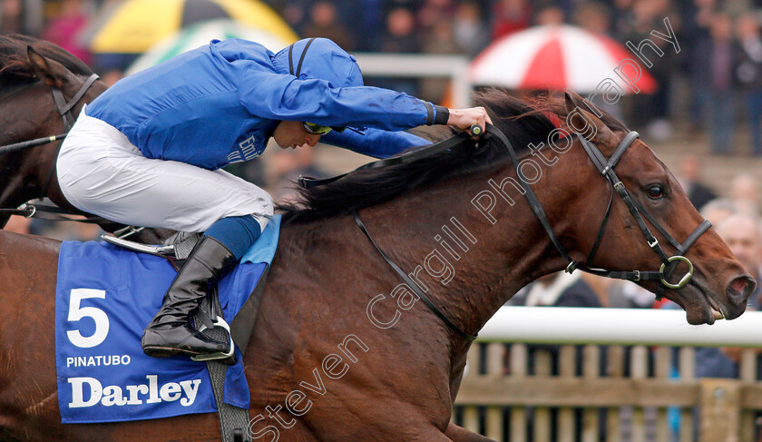 Pinatubo-0010 
 PINATUBO (William Buick) wins The Darley Dewhurst Stakes
Newmarket 12 Oct 2019 - Pic Steven Cargill / Racingfotos.com