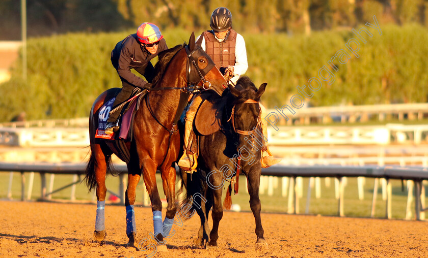 Inspiral-0001 
 INSPIRAL (Frankie Dettori) training for The Breeders' Cup Filly & Mare Turf
Santa Anita USA, 31 October 2023 - Pic Steven Cargill / Racingfotos.com