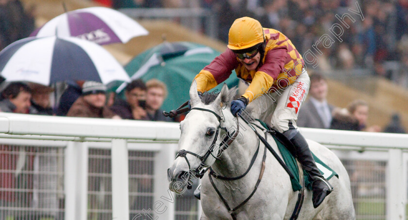 Ramses-De-Teillee-0006 
 RAMSES DE TEILLEE (Tom Scudamore) wins The Randox Health Novices Hurdle
Cheltenham 26 Oct 2019 - Pic Steven Cargill / Racingfotos.com