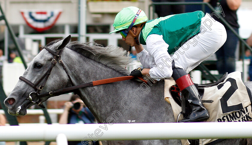 Significant-Form-0004 
 SIGNIFICANT FORM (Irad Ortiz) wins The Intercontinental Stakes
Belmont Park USA 6 Jun 19 - Pic Steven Cargill / Racingfotos.com