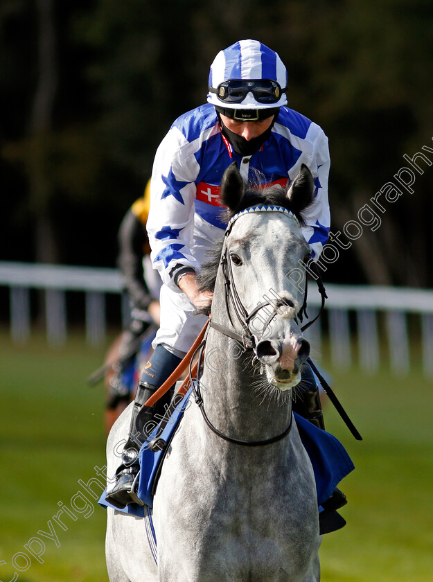 Dark-Shift-0001 
 DARK SHIFT (Kieran Shoemark)
Salisbury 1 Oct 2020 - Pic Steven Cargill / Racingfotos.com