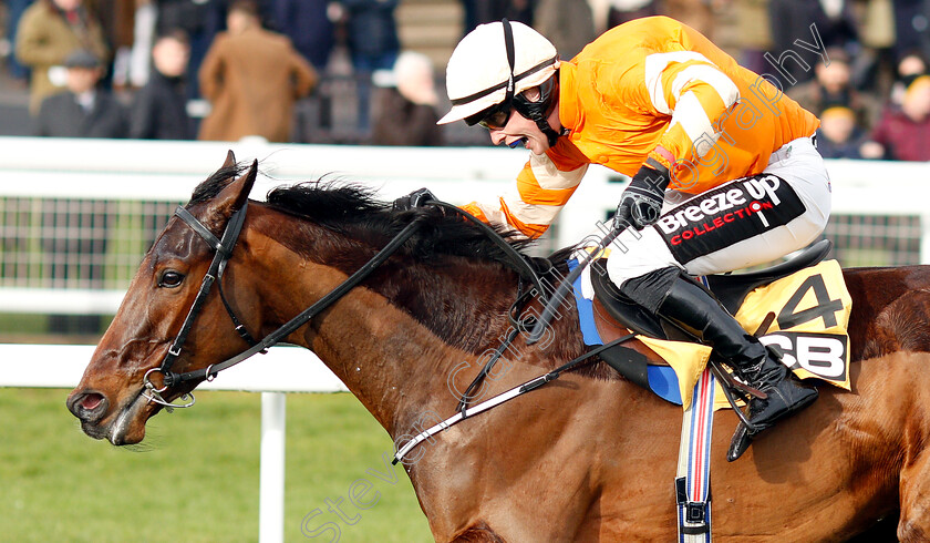 Fakir-D Oudairies-0009 
 FAKIR D'OUDAIRIES (J J Slevin) wins The JCB Triumph Trial Juvenile Hurdle
Cheltenham 26 Jan 2019 - Pic Steven Cargill / Racingfotos.com