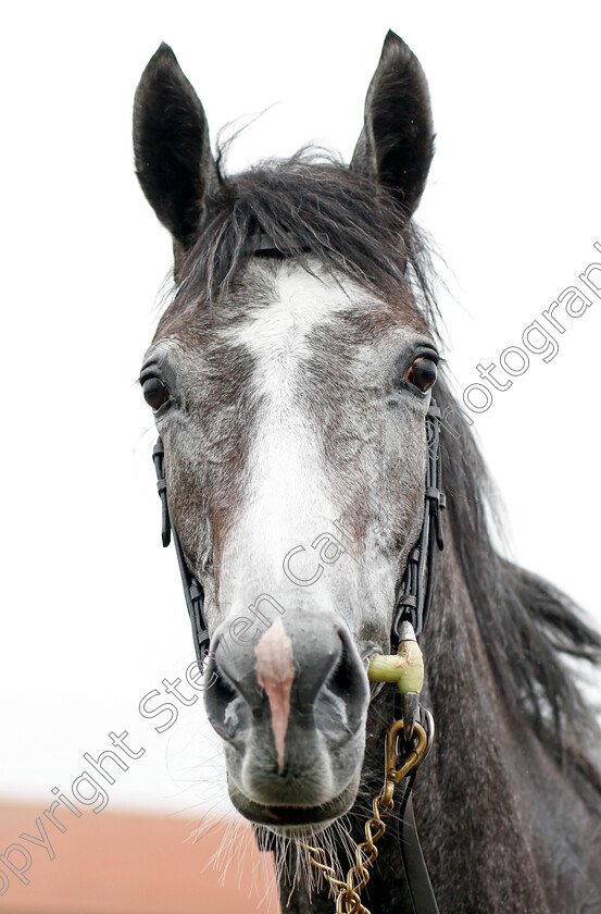 Thoughts-Of-June-0008 
 THOUGHTS OF JUNE winner of The Weatherbys Bloodstock Pro Cheshire Oaks
Chester 4 May 2022 - Pic Steven Cargill / Racingfotos.com