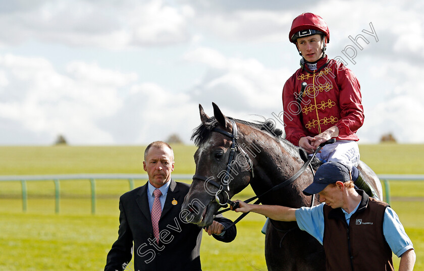 Roaring-Lion-0007 
 ROARING LION (Oisin Murphy) after The Juddmonte Royal Lodge Stakes Newmarket 30 Sep 2017 - Pic Steven Cargill / Racingfotos.com