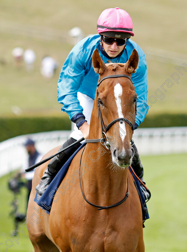 Many-A-Star-0001 
 MANY A STAR (Tom Marquand)
Goodwood 27 Aug 2022 - Pic Steven Cargill / Racingfotos.com