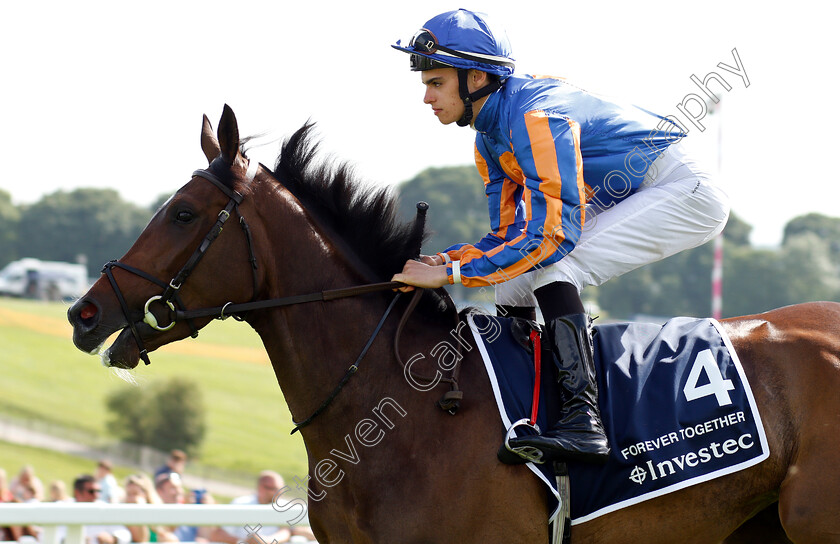 Forever-Together-0001 
 FOREVER TOGETHER (Donnacha O'Brien) before The Investec Oaks
Epsom 1 Jun 2018 - Pic Steven Cargill / Racingfotos.com