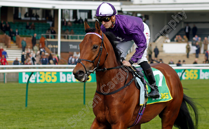 Raadobarg-0001 
 RAADOBARG (Kevin Stott)
Newmarket 18 Apr 2023 - Pic Steven Cargill / Racingfotos.com