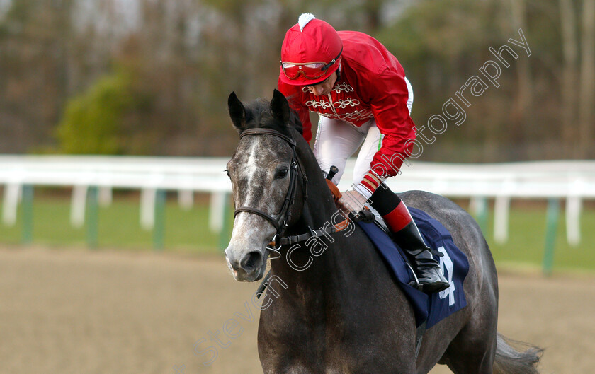 Little-Rock-0002 
 LITTLE ROCK (Shane Kelly)
Lingfield 25 Jan 2019 - Pic Steven Cargill / Racingfotos.com