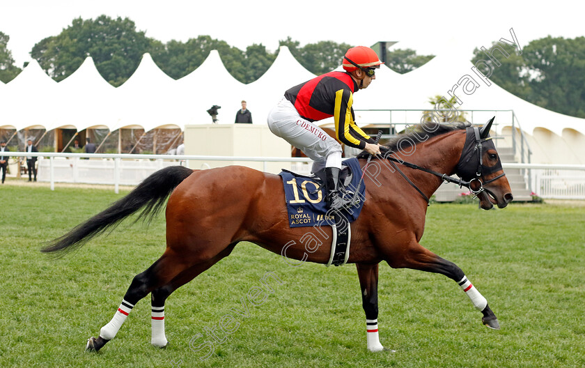 Grenadier-Guards 
 GRENADIER GUARDS (Cristian Demuro)
Royal Ascot 18 Jun 2022 - Pic Steven Cargill / Racingfotos.com