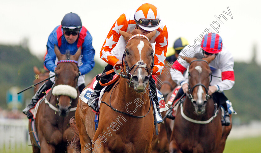 Eddystone-Rock-0005 
 EDDYSTONE ROCK (James Doyle) wins The Sky Bet Handicap
York 21Aug 2019 - Pic Steven Cargill / Racingfotos.com