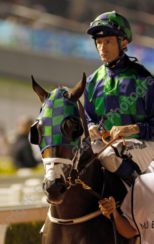 Thegreatcollection-0001 
 THEGREATCOLLECTION (Dane O'Neill) Meydan 18 Jan 2018 - Pic Steven Cargill / Racingfotos.com