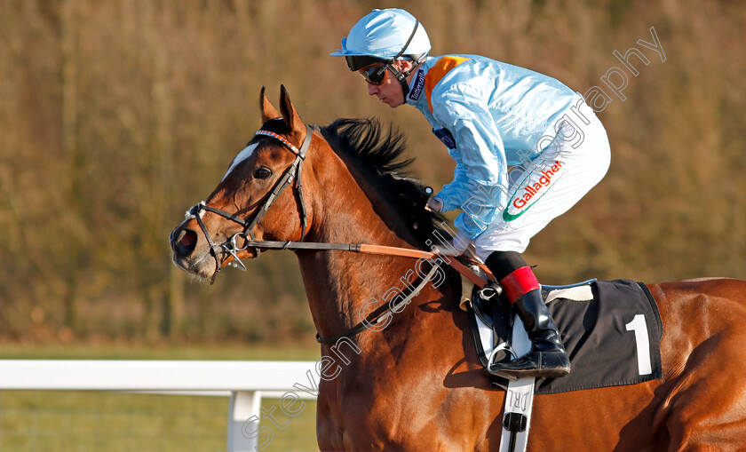 Prince-Of-Eagles-0001 
 PRINCE OF EAGLES (Shane Kelly) before The Ministry Of Sound And Light Extravaganza Handicap
Chelmsford 11 Feb 2020 - Pic Steven Cargill / Racingfotos.com