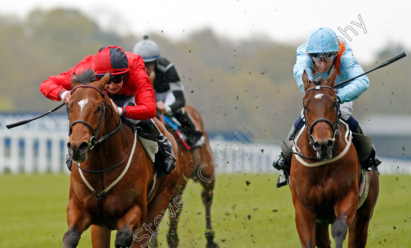 Chipotle-0003 
 CHIPOTLE (left, Charles Bishop) beats THE GATEKEEPER (right) in The Royal Ascot Two-Year-Old Trial Conditions Stakes
Ascot 28 Apr 2021 - Pic Steven Cargill / Racingfotos.com