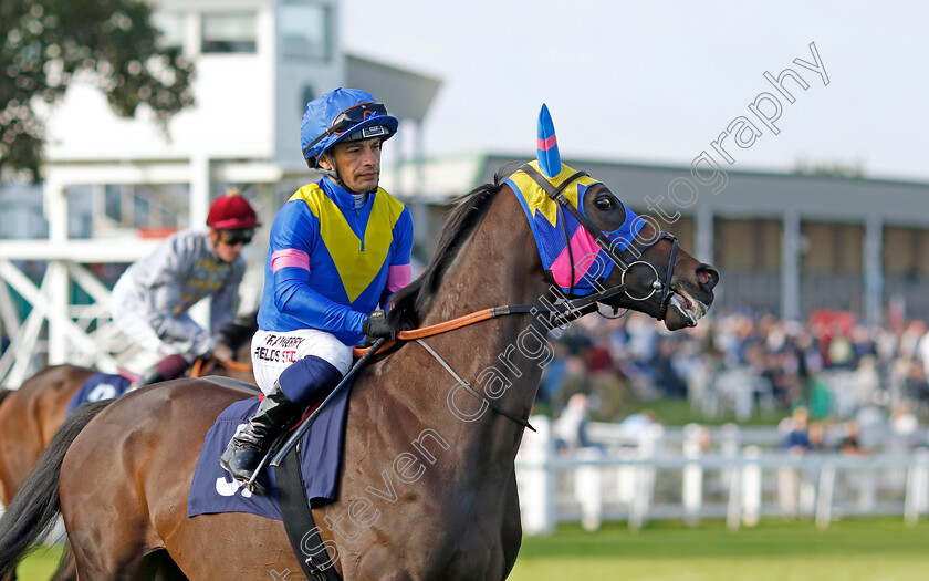 Sound-Angela-0004 
 SOUND ANGELA (Silvestre de Sousa) winner of The EBF Stallions John Musker Fillies Stakes
Yarmouth 18 Sep 2024 - Pic Steven Cargill / Racingfotos.com