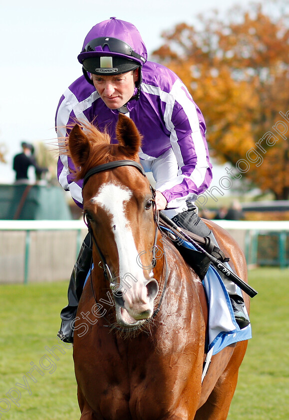 Norway-0002 
 NORWAY (Seamie Heffernan) before The Godolphin Flying Start Zetland Stakes
Newmarket 13 Oct 2018 - Pic Steven Cargill / Racingfotos.com