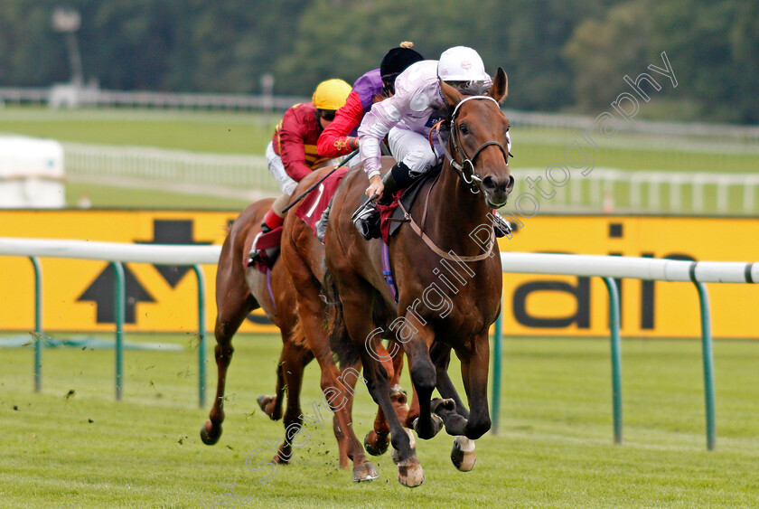 Pleasant-Man-0003 
 PLEASANT MAN (Jason Watson) wins The Betfair Free Bet Streak EBF Novice Stakes
Haydock 3 Sep 2020 - Pic Steven Cargill / Racingfotos.com