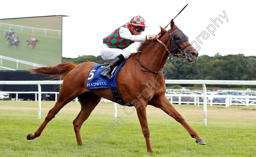 Bayan-0002 
 BAYAN (Ioritz Mendizabal) wins The Shadwell Arabian Stallions Hatta International Stakes
Newbury 28 Jul 2019 - Pic Steven Cargill / Racingfotos.com