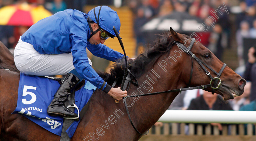 Pinatubo-0011 
 PINATUBO (William Buick) wins The Darley Dewhurst Stakes
Newmarket 12 Oct 2019 - Pic Steven Cargill / Racingfotos.com